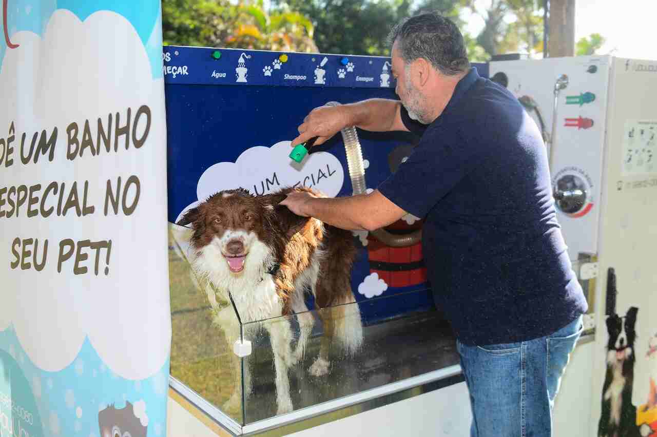 São Bernardo inova com serviço de autoatendimento de banho para pets nos  parques - maximizada - São Bernardo